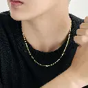 DCV24(4).webp