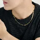 DCV10(4).webp