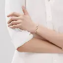 vtv.webp