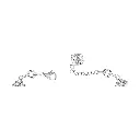 LTWT(2).webp